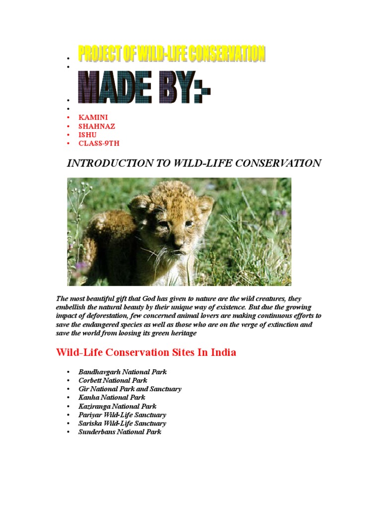 Wildlife Conservation Efforts in India | PDF | World Wide Fund For ...