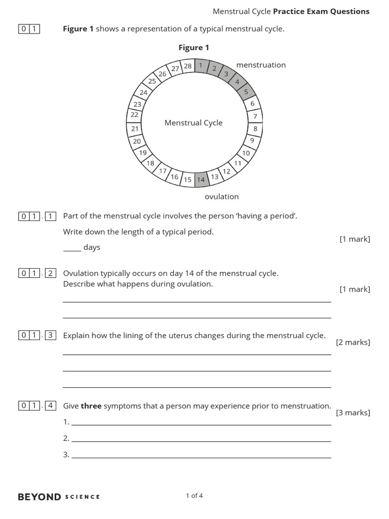 Menstrual Cycle Practice Exam Questions Higher Pdf Menstrual Cycle
