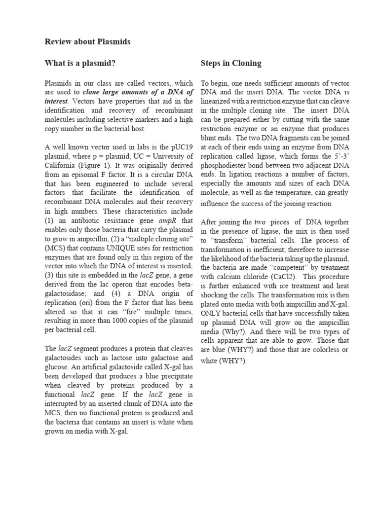 Cloning Steps and Plasmid Use | PDF | Science & Mathematics