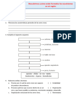 D3 A1 ANEXO CT. Descubrimos ¿Cómo Están Formados Los Ecosistemas en Mi Región