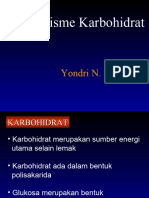 Metabolisme Karbohidrat