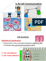 Cell Bio 3 Cell Junctions 2021 PDF