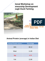 3618230720presentation Duck Farming