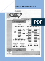Esquema de La Glucolisis