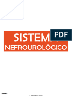 Sistema Nefrourologico