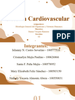 Sistema Cardiovascular (Grupo#2) (Histo II) 3