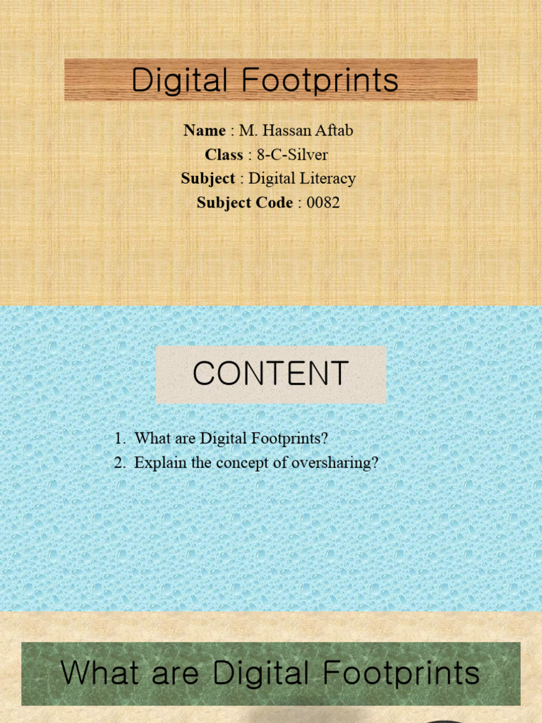 Digital Footprints PDF