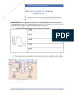 Ciclo Cardiaco