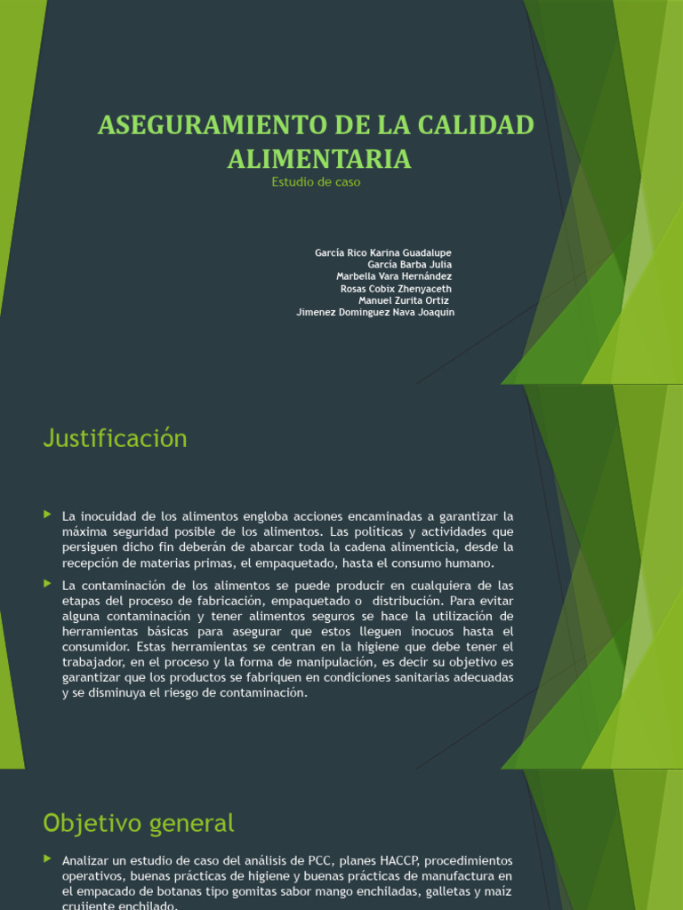 Aseguramiento de La Calidad | PDF | Análisis de Riesgo y Puntos ...