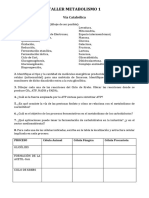 Taller Metabolismo de Carbohidratos