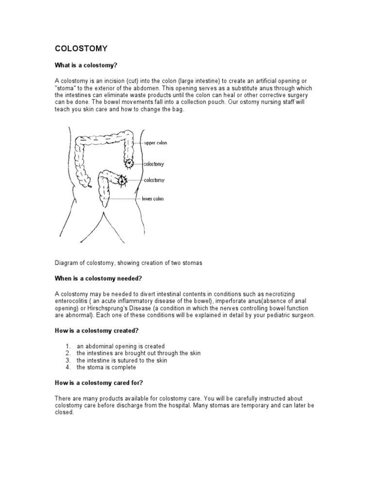 Colostomy Pdf