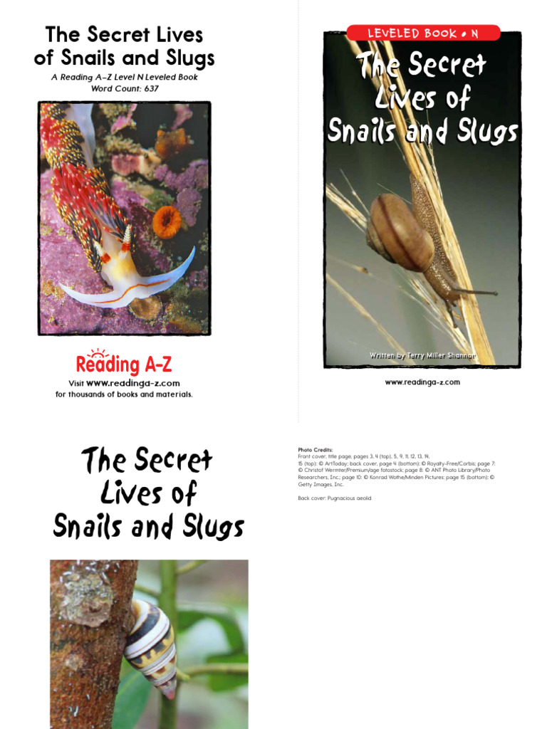 N The Secret Lives of Snails and Slugs | PDF