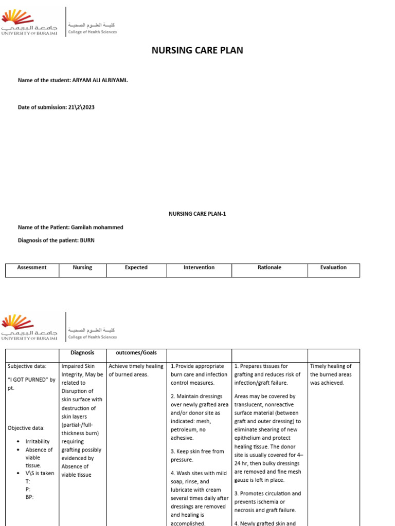 15NURSING CARE PLAN Burn PDF