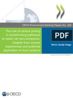 OECD - The Role of Carbon Pricing in Transforming Pathways To Reach Net Zero Emissions