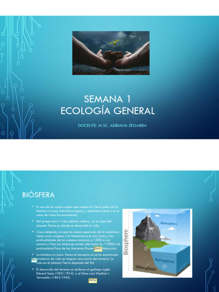 Semana 1 CONCEPTOS DE ECOLOGIA GENERAL | Descargar gratis PDF ...