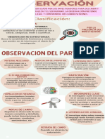 Infografia Observacion - Observacion Principiante