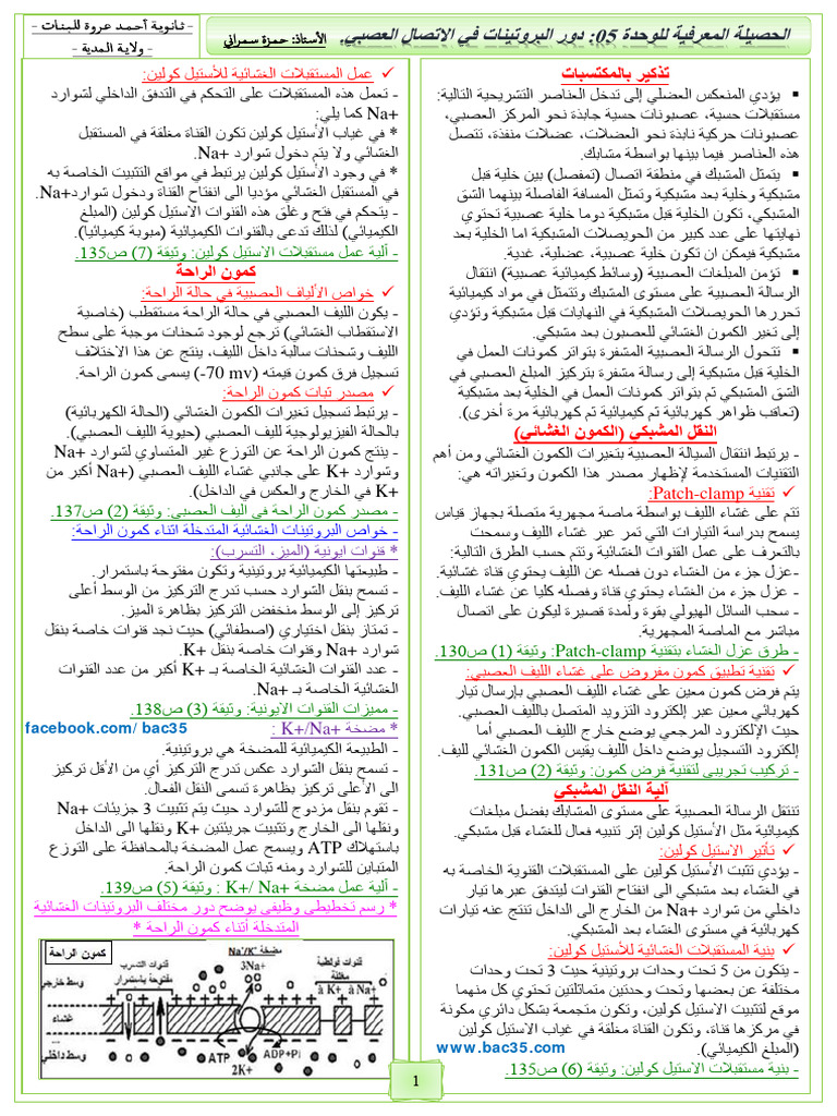 022 | PDF