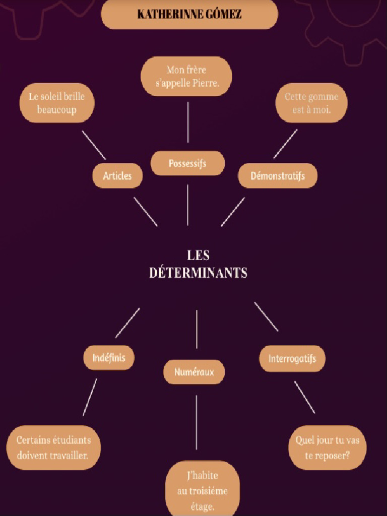 Les Déterminants Et Les Pronoms Pdf