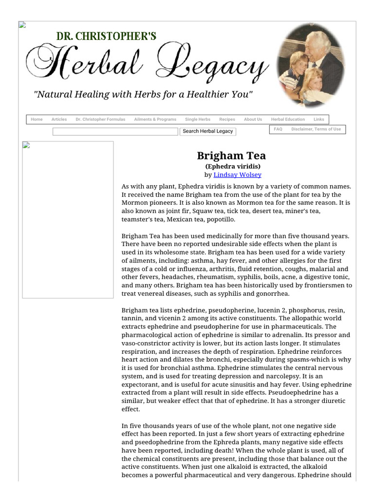Brigham Tea | PDF | Science & Mathematics
