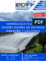 Defensa Ribereña y Gaviones PDF