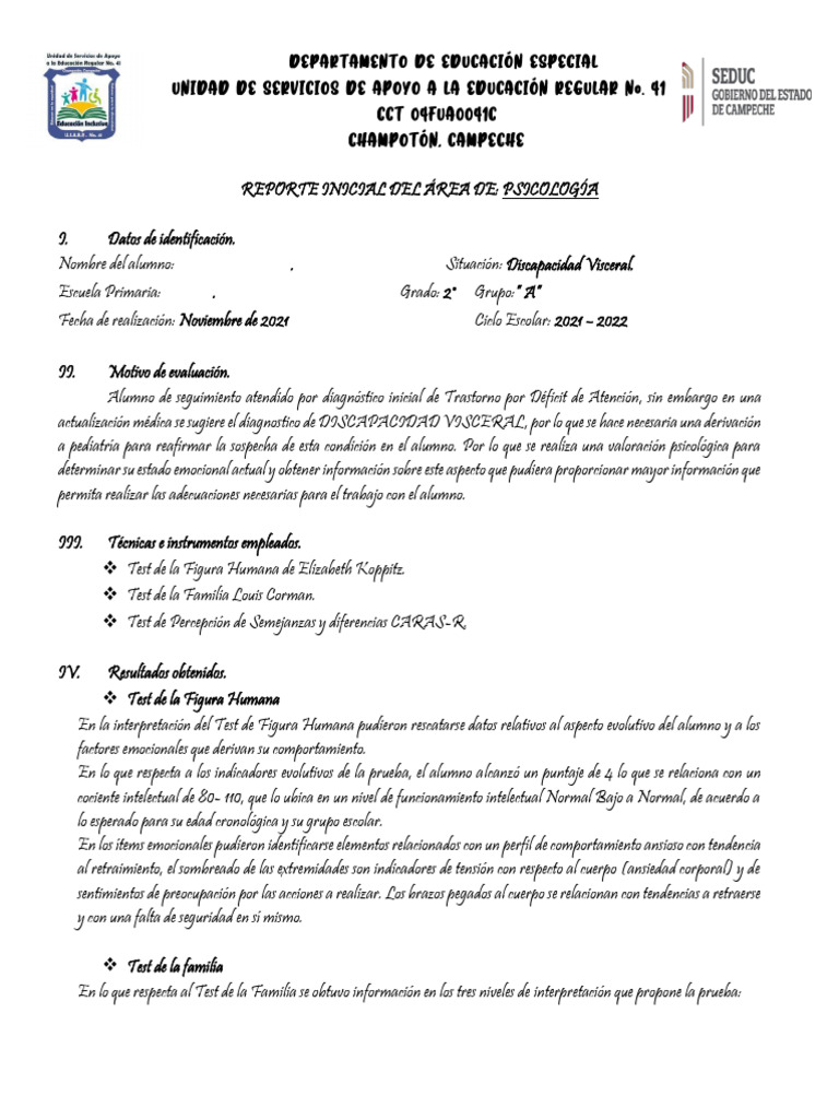 Ejemplo de Informe Inicial | PDF