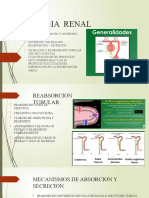 FISIOLOGIA RENAL TUBULAR LL