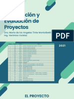 FEyP 1. El Proyecto