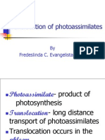 Trans Location of Photo Assimilates