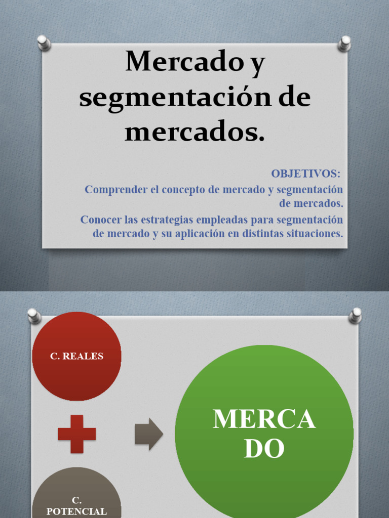 Mercado y Segmentación de Mercados (Segunda Versión) | PDF