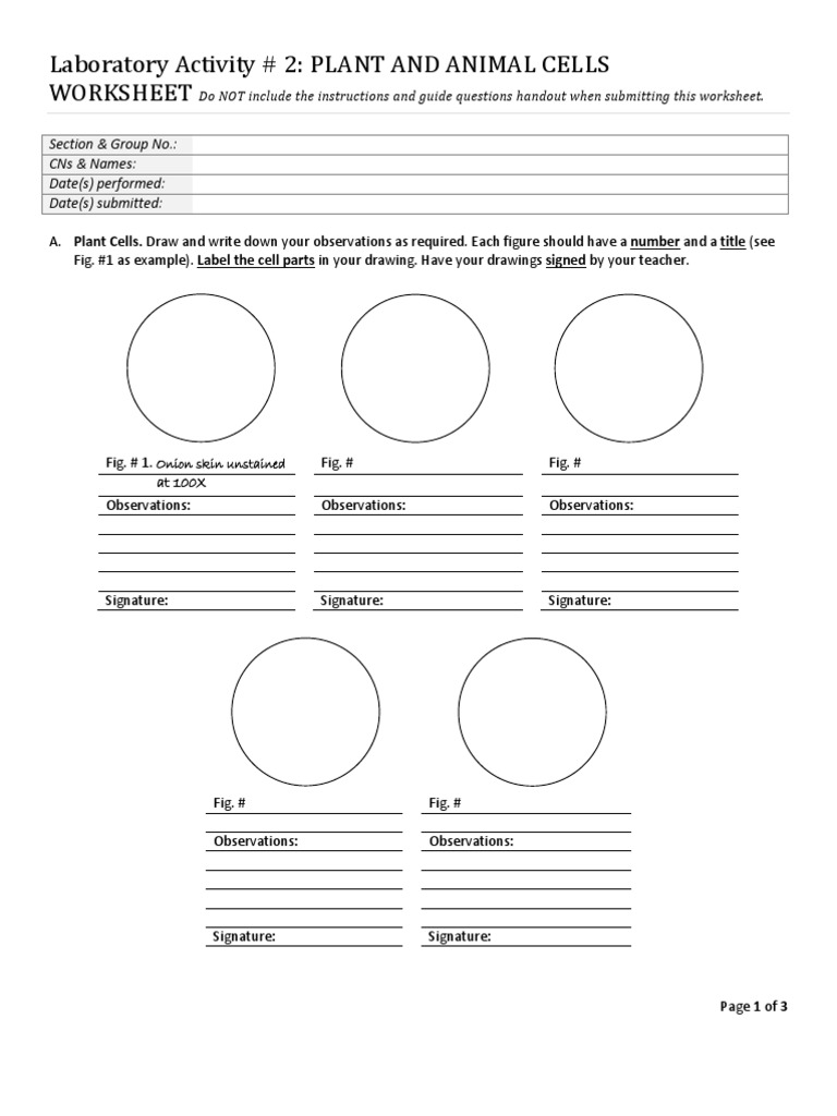 worksheet Plant And Animal Cells Worksheets 66777087 lab plant and animal cells worksheet experiment psychology cognitive science