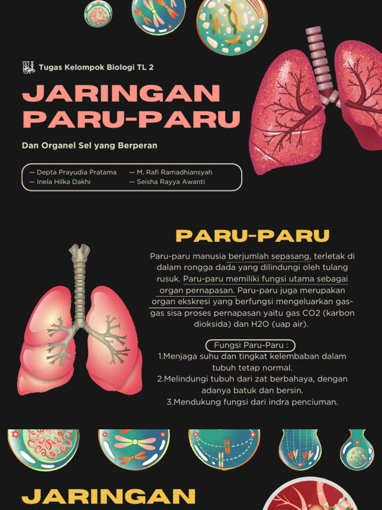 Jaringan dan Organel Paru-Paru | PDF
