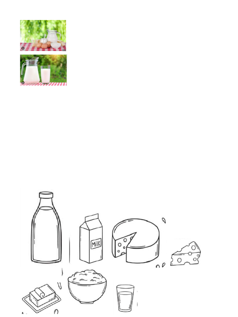 Dairy Products PDF