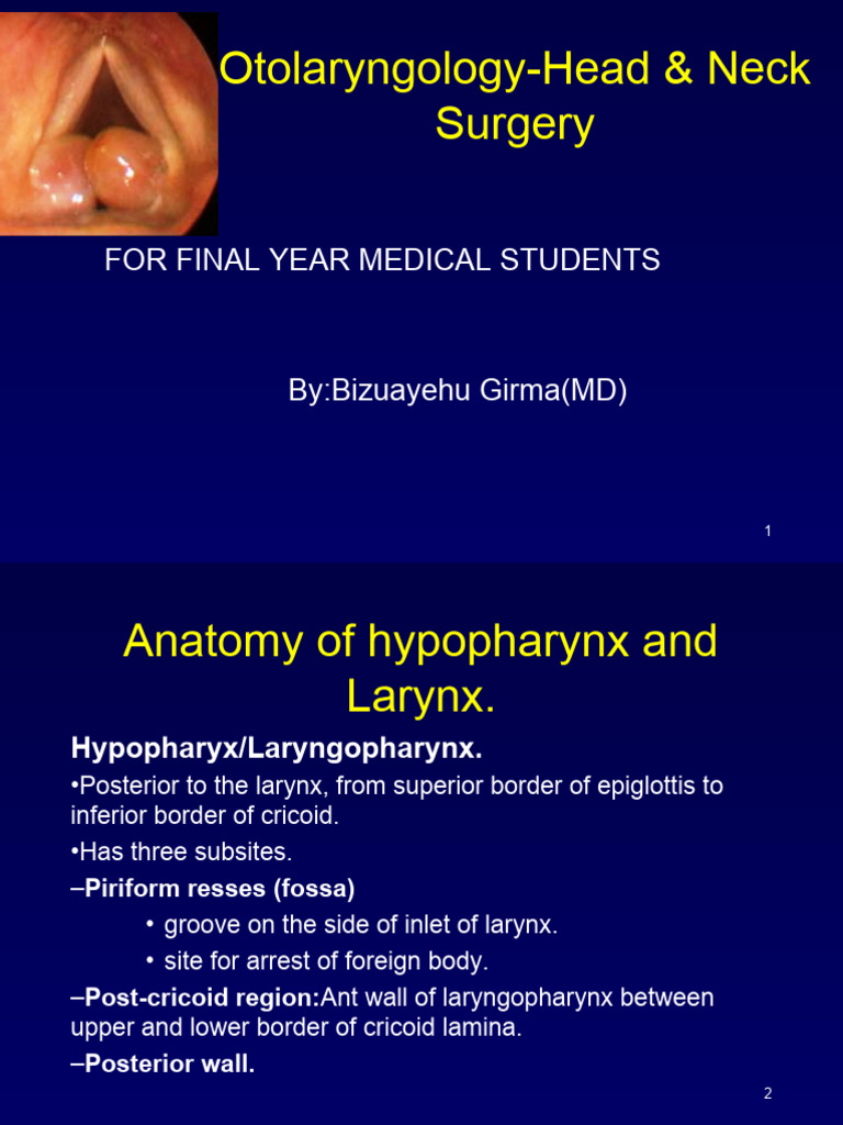 Laryngeal Diseases | PDF