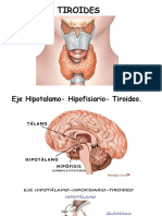 TIROIDES