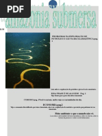 amazonia submersa
