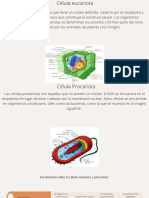 Cuadro comparativo 