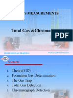 Total Ggas& Chromatograph