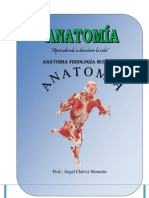 Folleto de Anatomia