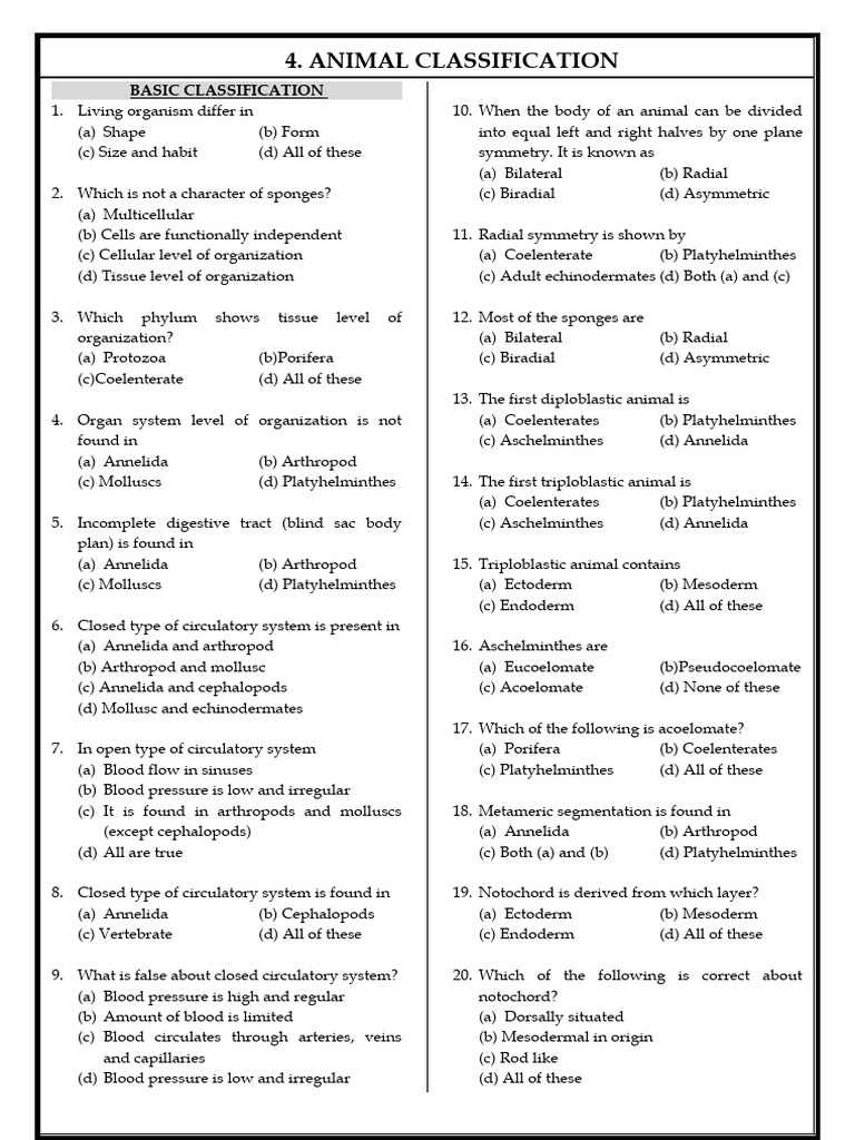 Chapter 4 Animal Classification PDF