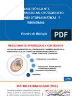 Clase Teórica #5 Matriz Extracelular, Citoesqueleto, Inclusiones Citoplasmáticas - y Ribosomas