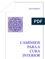 Trigueirinho - Caminhos Para a Cura Interior - By Paulohz