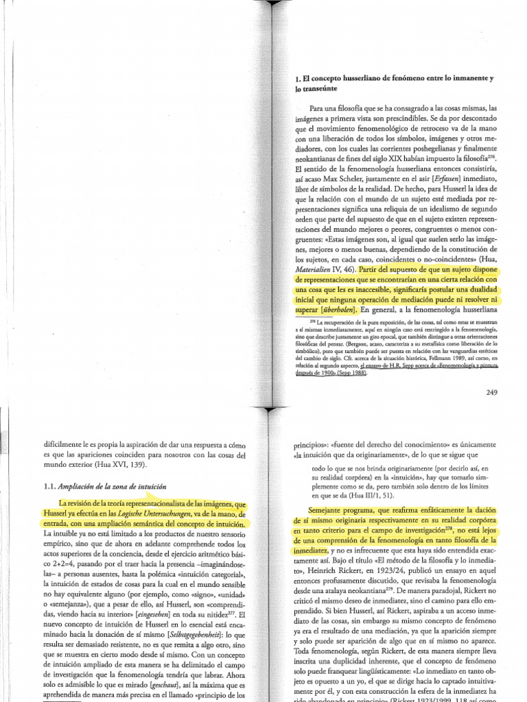 fenomenolog-a-de-la-imagen-alloa-pdf