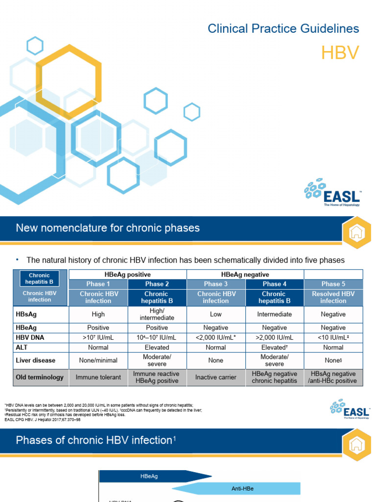 Chronic HBV Infection Management Guidelines | PDF