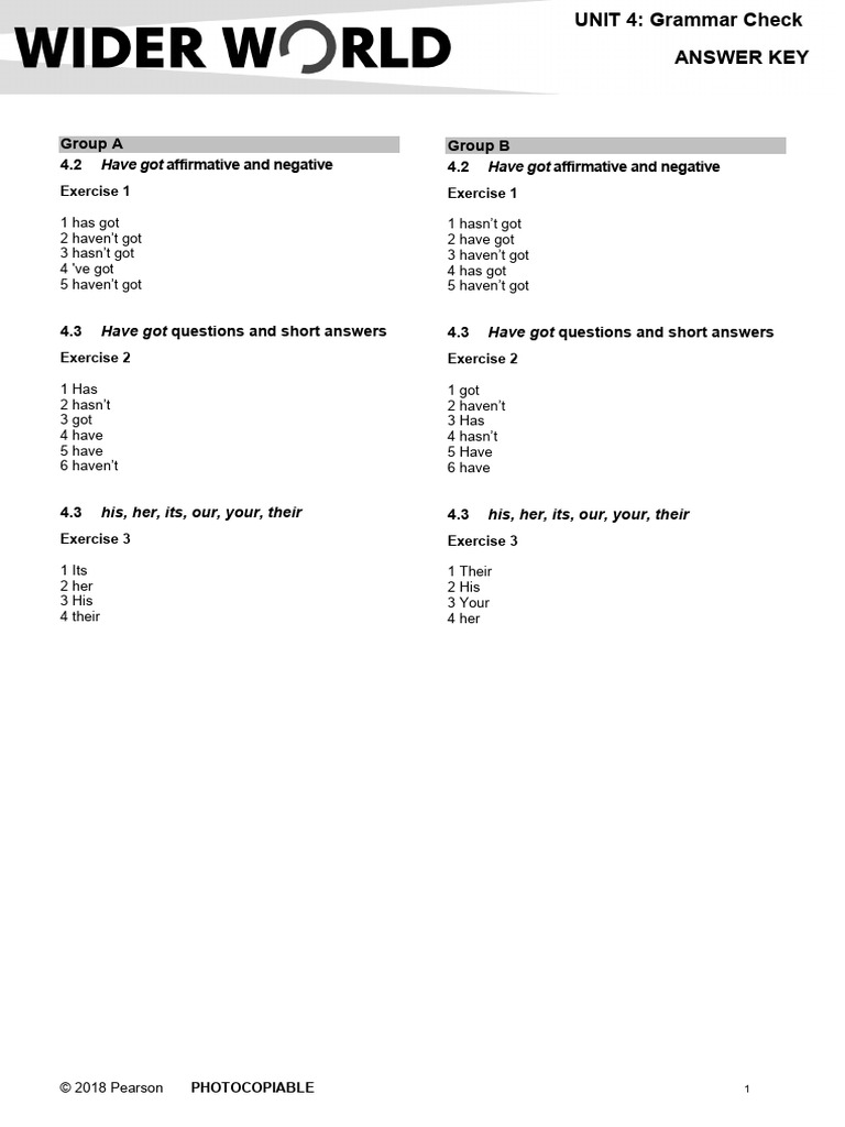 Wider World Starter Tests AK GrammarCheck 4 Final | PDF