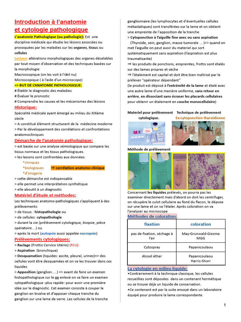 Introduction à l'anatomie pathologique | PDF