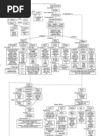 (6-F) (1P) (2007-01-20) (Mapa Conceptual)