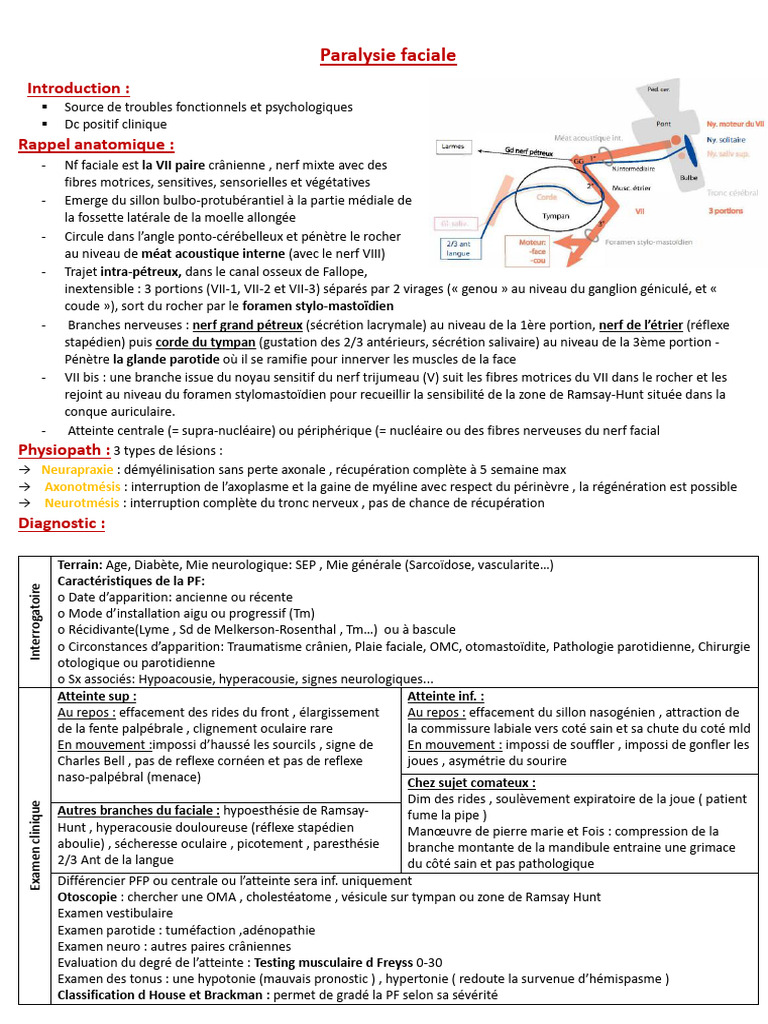 ORL Notes | PDF