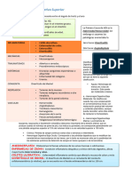 Seminario Hemorragia Digestiva Inferior