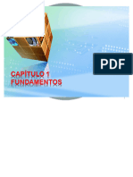 Capitulo 1 Fundamentos PDF