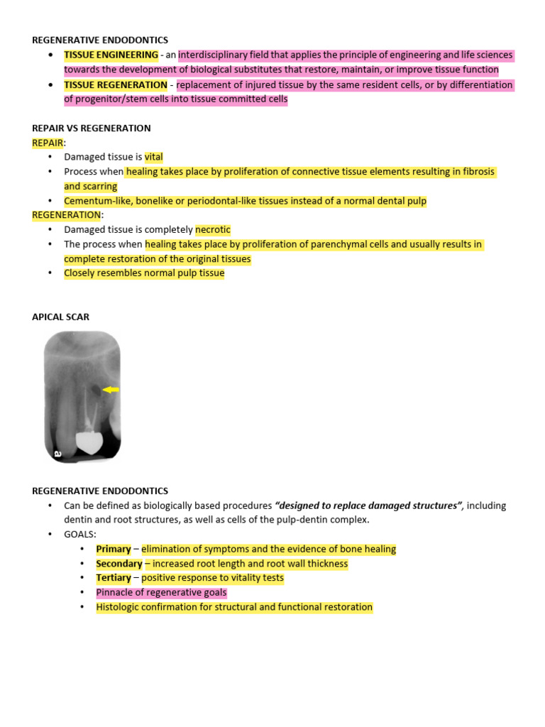 Regenerative Endodontics | PDF | Human Tooth | Tissue Engineering